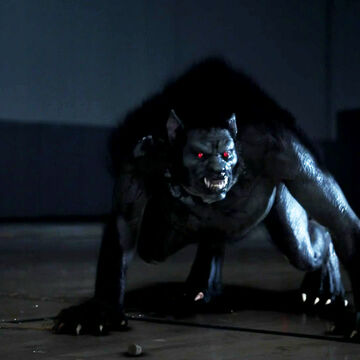 teen wolf wiki fandom