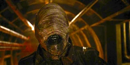 Nogitsune Argent bunker Beacon Hills 2026