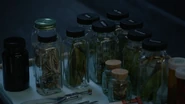 Herbs-Teen-Wolf-Season-6-Episode-11-Said-the-Spider-to-the-Fly.png (438 KB)