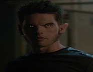 Theo Raeken (Werwolf/Werkojote)