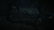 Wolf-pack-dead-Teen-Wolf-Season-6-Episode-11-Said-the-Spider-to-the-Fly.png (513 KB)
