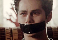 Melissa 2.gif (1,08 Mio)