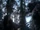 Maid of Gevaudan (Episode)