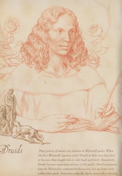 DruidsBestiary