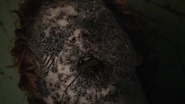 C-J-Hoff-Edgar-spiders-Teen-Wolf-Season-6-Episode-16-Triggers