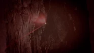 Infrared-sight-Teen-Wolf-Season-6-Episode-12-Raw-Talent.png (433 kio)