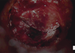 1664f99c8ca146a6c633c734ad8a7fda.gif