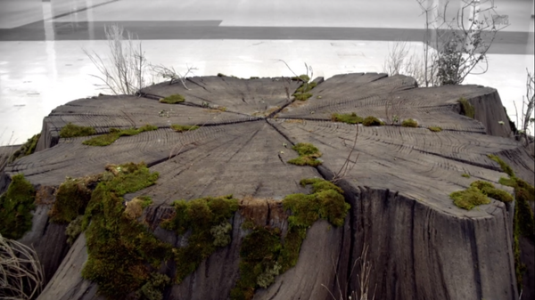 Teen Wolf Season 3 Episode 12 Lunar Ellipse Close on Nemeton Afterlife