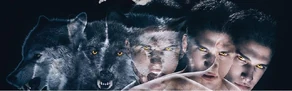 Scott loup