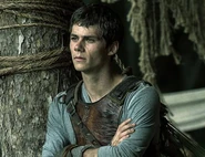 Dylan en "The Maze Runner"