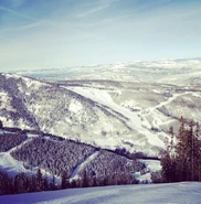Holland Roden view from the Mountain - Colorado