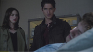 Teen-Wolf-Letharia-Vulpina-Isaac-Allison-Scott