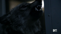 Teen Wolf Season 3 Episode 14 Werecoyote growl