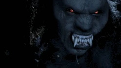 Tumblr otfevofyMB1vfhoyoo3 500