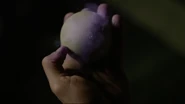 Wolfsbane-lacrosse-ball-Teen-Wolf-Season-6-Episode-12-Raw-Talent.png (339 kio)