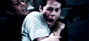 WhoppingMessyAlleycat-small