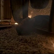 Stiles 2.jpg (8 kio)