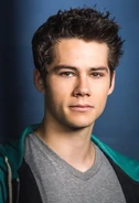 Stiles