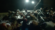 Dead-rat-pile-Teen-Wolf-Season-6-Episode-11-Said-the-Spider-to-the-Fly