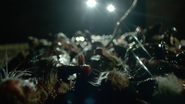 Dead-rat-pile-Teen-Wolf-Season-6-Episode-11-Said-the-Spider-to-the-Fly.png (589 KB)