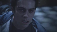 Stiles