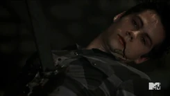 Imagen80.jpg (46 kB)