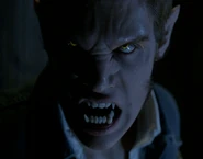 Liam Dunbar, gebissen von Scott McCall (Beta)