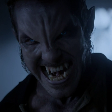 teen wolf wiki fandom