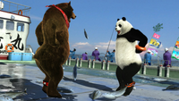 Kuma and Panda Dancing