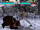 Bear Fling