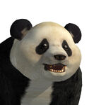 2165245-portrait panda.jpg (245 KB) 2165245-portrait panda