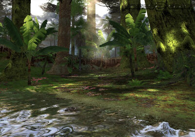Tk4 jungle stage
