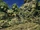 Jungle Outpost 2