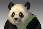 PANDA (unlockable, costume swap of Kuma)