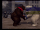 Bear Toss
