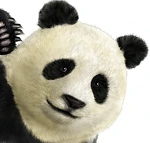 PANDA TK5DR