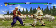 Wang vs Wang