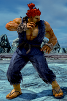 Akuma's Player 1 outfit.