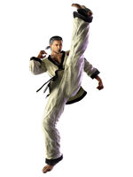 Baek in Tekken 6.