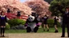 Panda en arrière-plan du stage Sakura Schoolyard