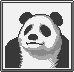 Portrait de Panda