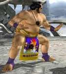 Chignon, pattes épaisses, bourse japonaise et pagne de sumo