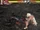 Tekken 7 - Nina Williams VS Paul Phoenix.png