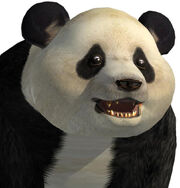 Portrait panda tekken tag tournament.jpg