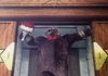 Kuma dans l'ending de Panda