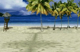 Roger Stage tekken 2 beach