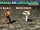 Tekken 3 - Pré-fight Jin Kazama & Hwoarang.png