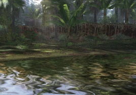Jungle