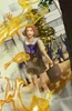 Zoom sur Miharu sur l'artwork de Street Fighter X Tekken
