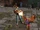 Bruce irvin vs julia chang tekken tag tournament 02.jpg